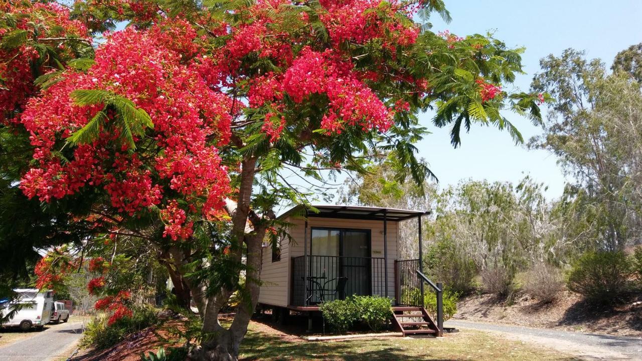Hotel Mt Larcom Tourist Park Mount Larcom Exterior foto