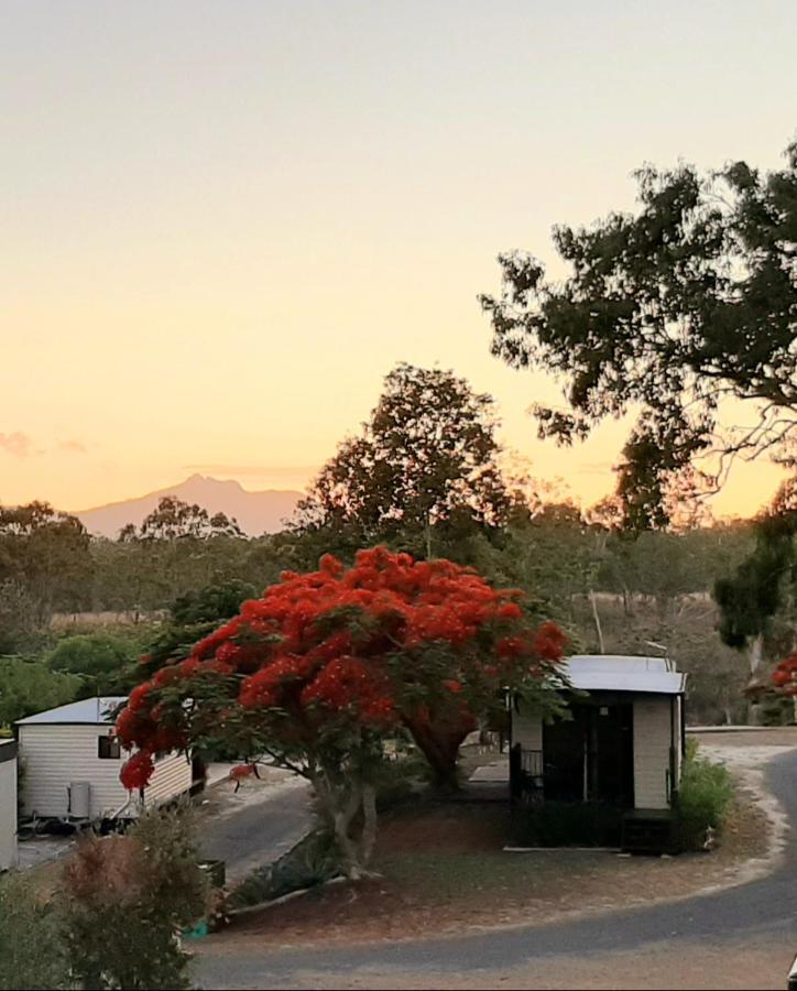 Hotel Mt Larcom Tourist Park Mount Larcom Exterior foto